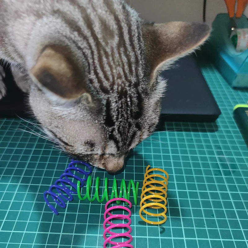 Bunte Katzenspiralen 4/8/16/20 Stück | Feder-Spielzeug für Katzen & Kätzchen